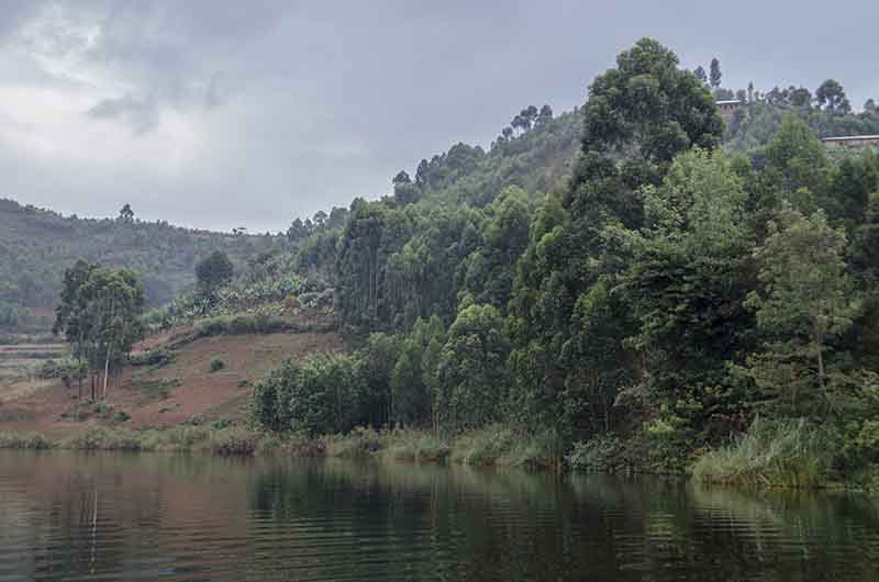 50 - Uganda - lago Bunyonyi - paisaje